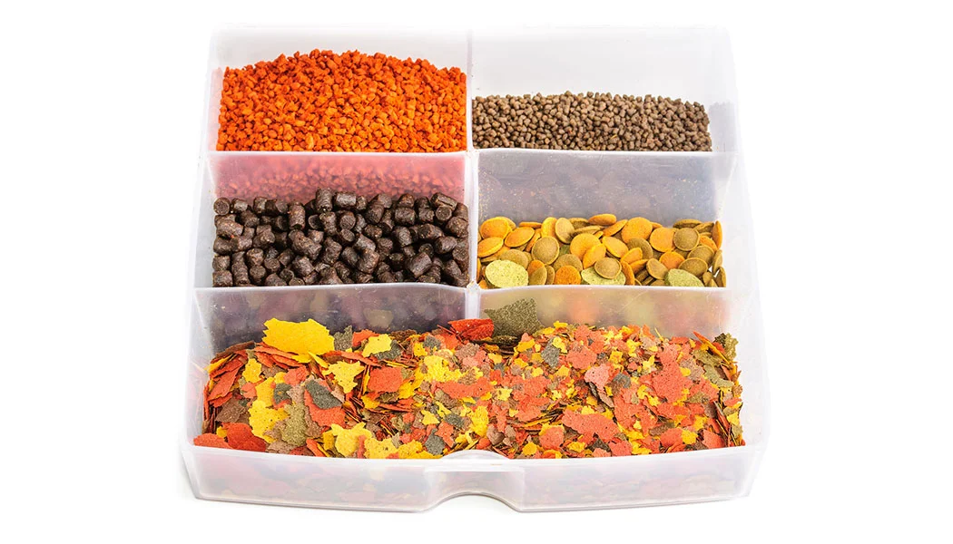 Variety of Fish Food