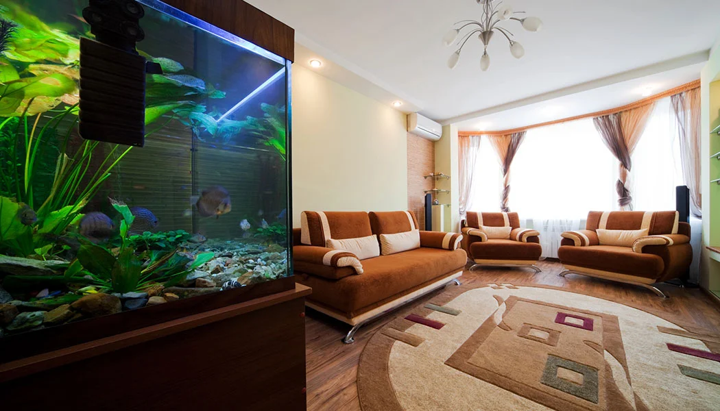 Home Aquarium