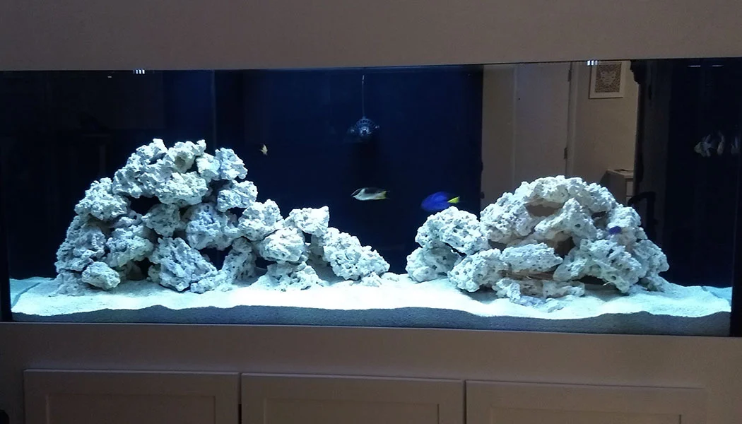 Installing Saltwater Live Rock